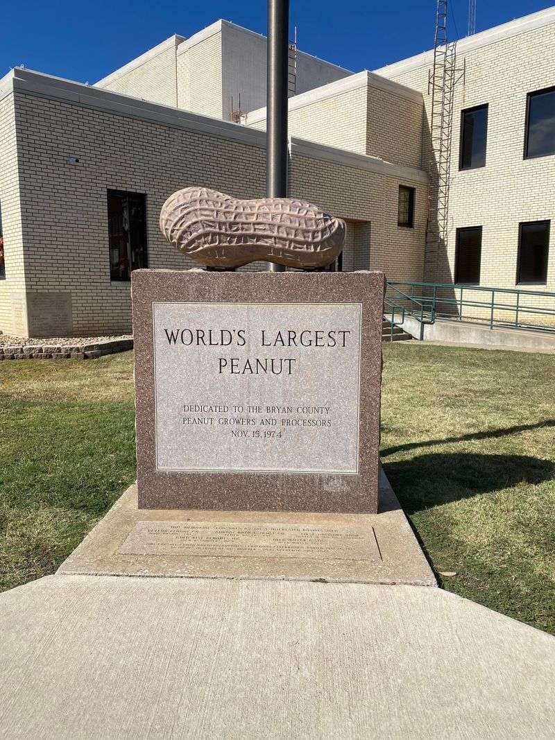 The World's Largest Peanut