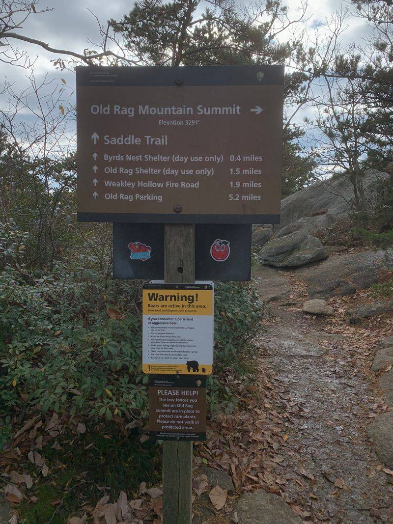 Planning Your Old Rag Adventure: Permits, Timing, and Trail Strategy