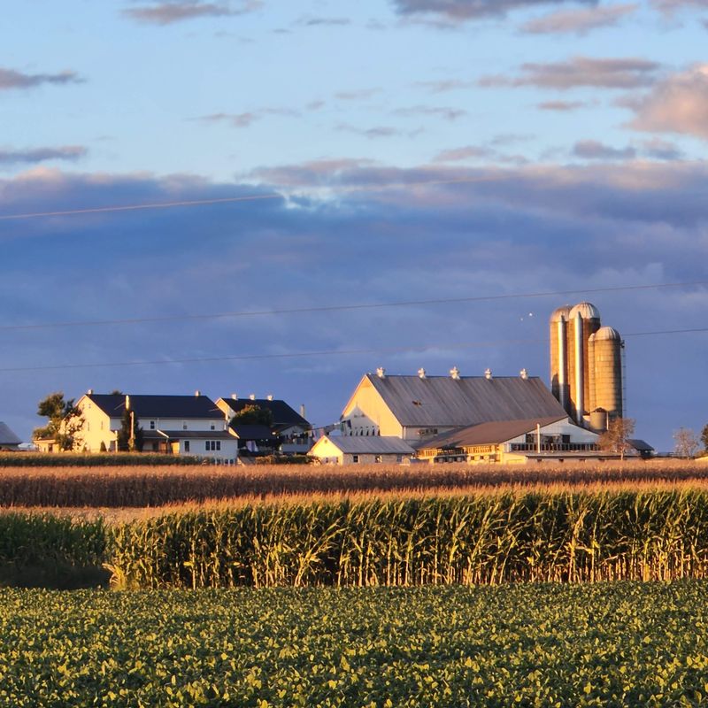 Convenience Isn’t Always Seen As Progress