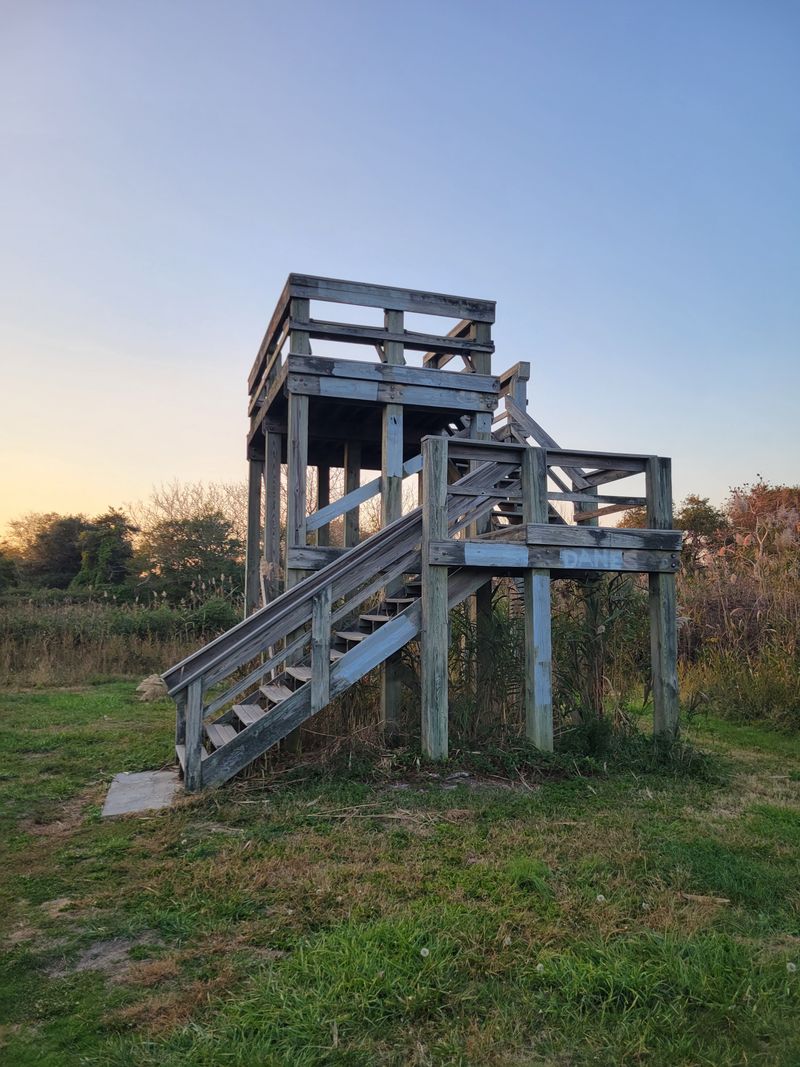 Birdwatchers Instead Of Crowds