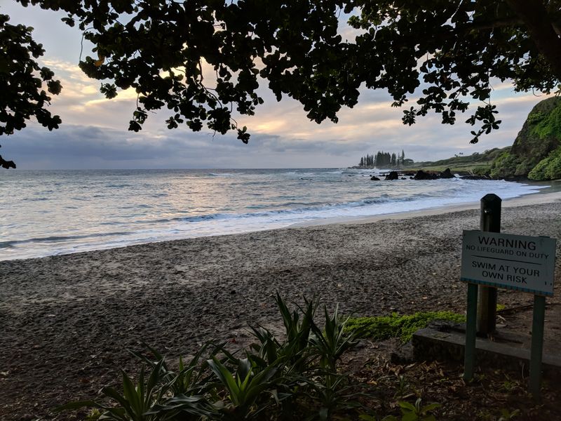 “Good Swimmers” Still Get Into Trouble