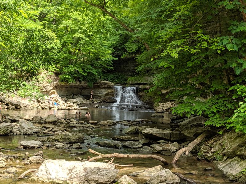 The Unique Microclimate and Ecosystem