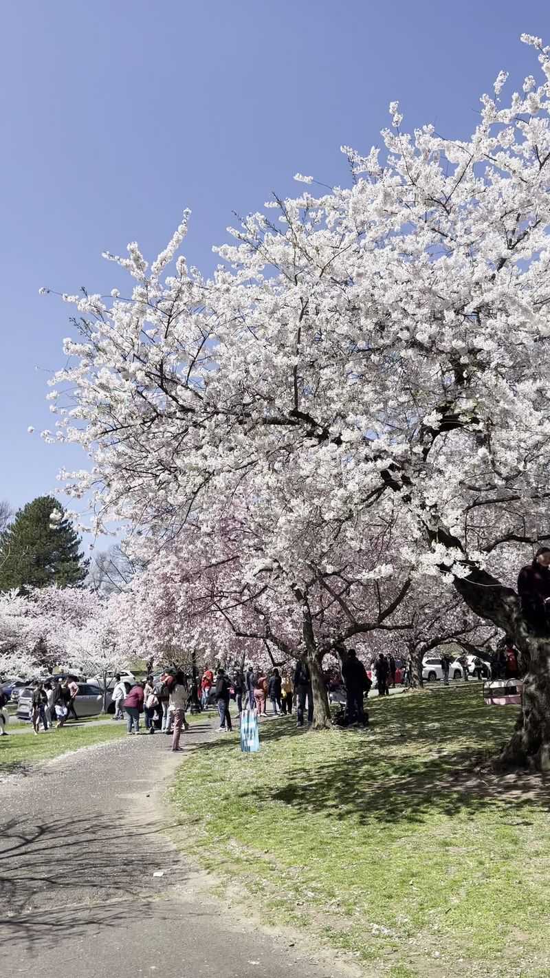 Bathroom Facilities Become Disaster Zones During Peak Season