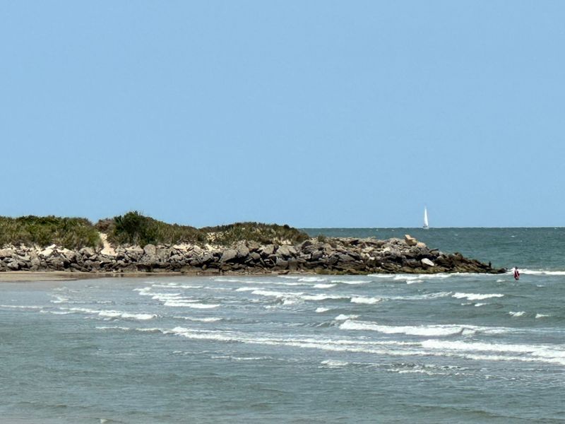 Nature and Wildlife Sightings