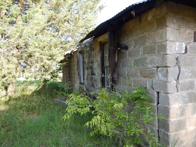 The General Store That Fed a Community