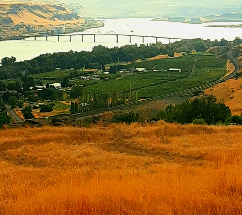 It’s Close To Nothing And That’s The Point