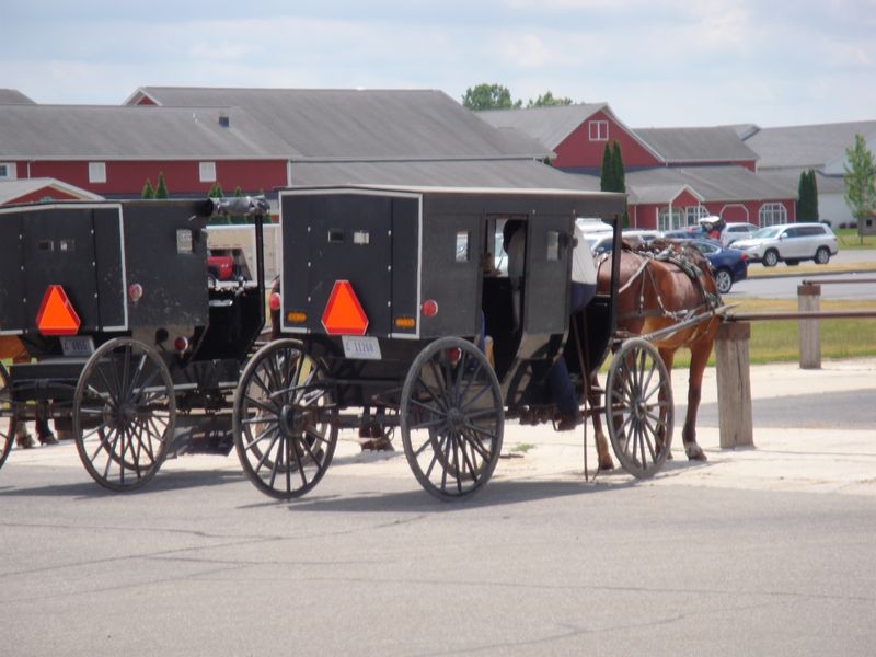 Horse-Drawn Buggies Are Still the Primary Transportation