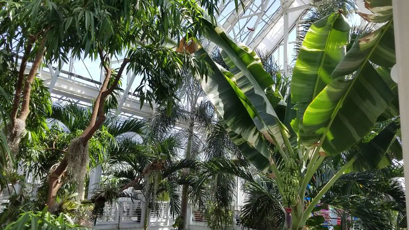 Year-Round Tropical Paradise in the Heart of Indiana Winter