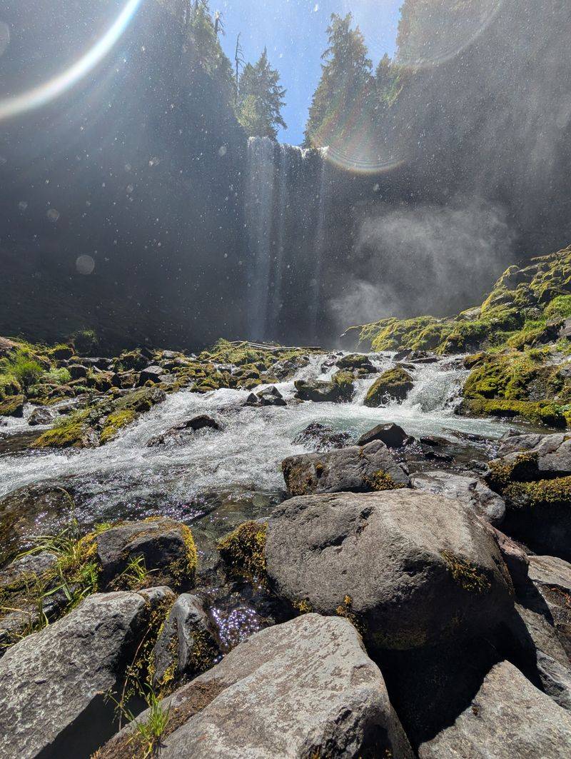 Wildlife Habitat and Nature Viewing Opportunities