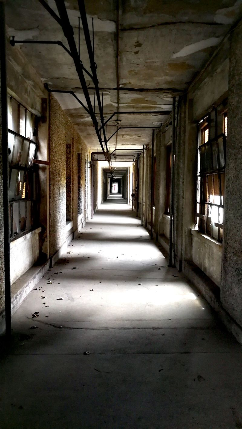 The Underground Tunnels Connecting the Complex