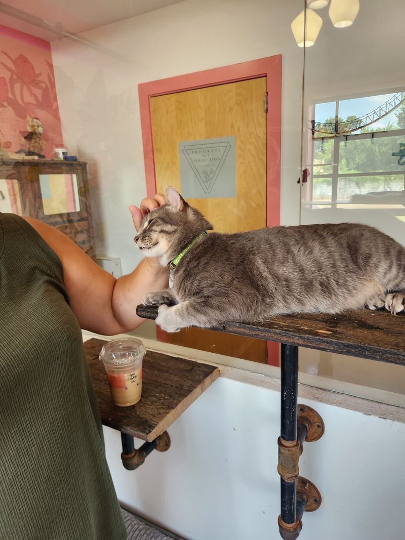 Adoptions That Change Lives