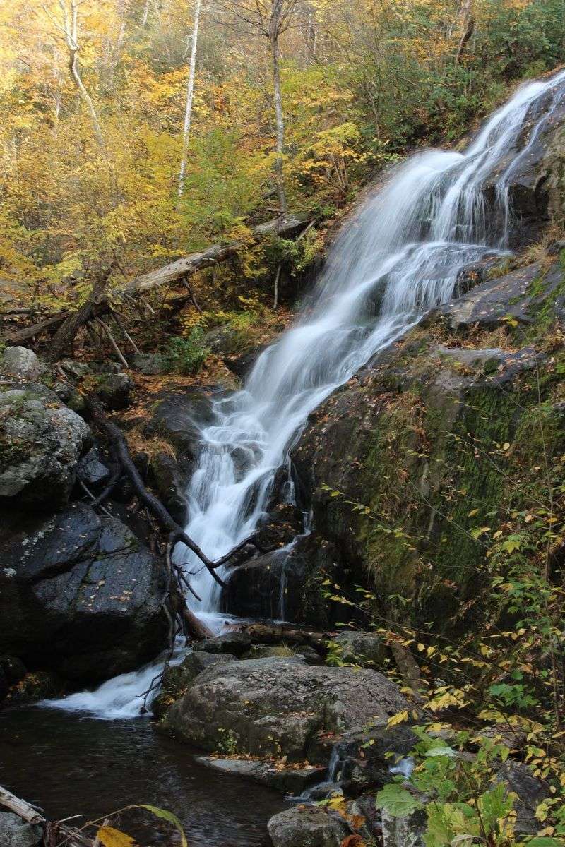 Seasonal Madness When Fall Colors Draw Maximum Crowds
