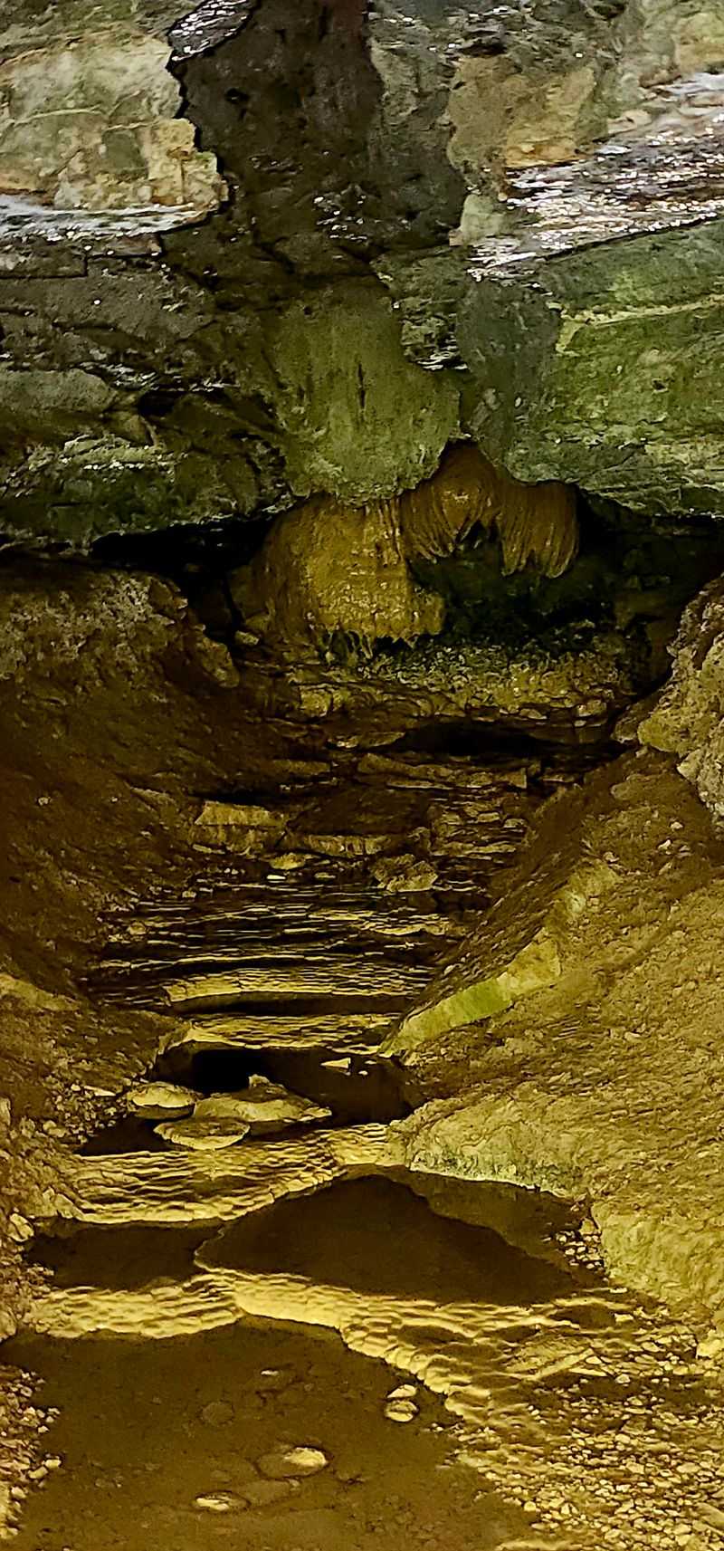 Wolf Cave Adventure for the Brave at Heart