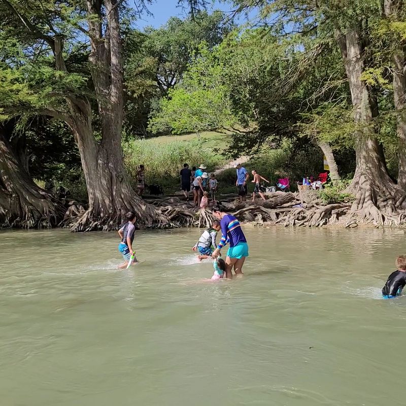 Traffic Nightmares and Parking Wars