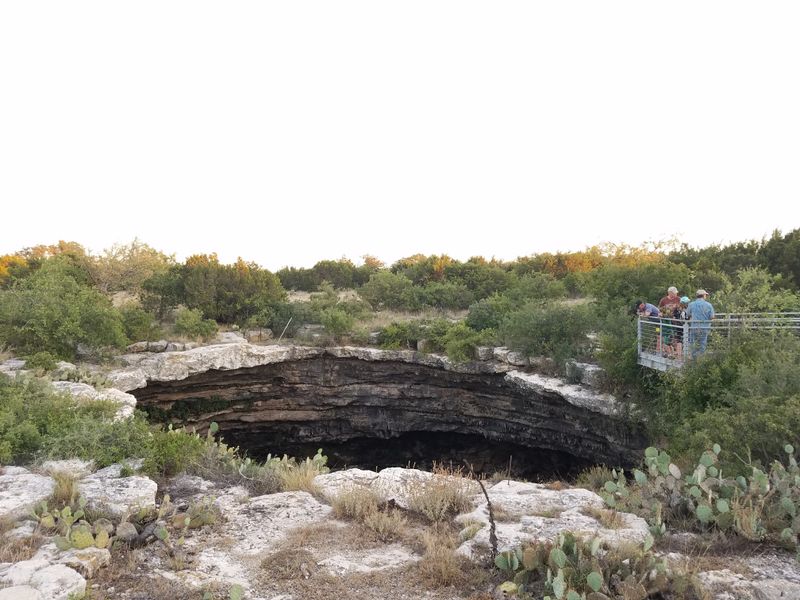 Conservation Efforts Protect a Fragile System