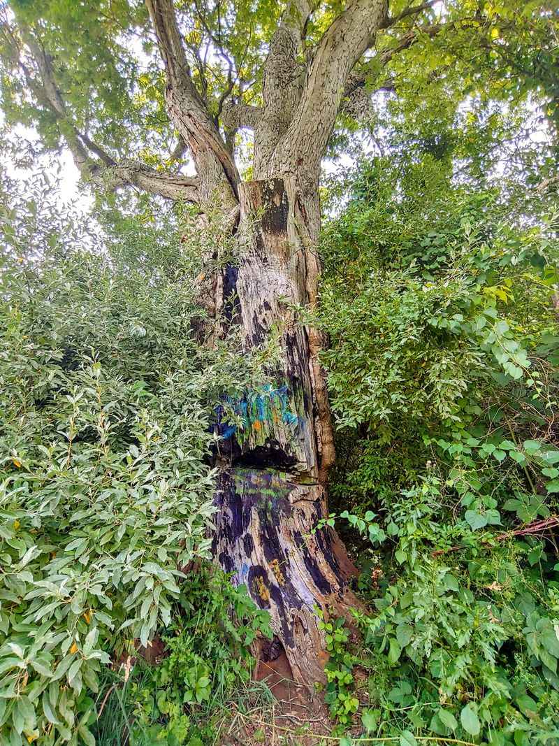 Legends of Hangings and Dark History