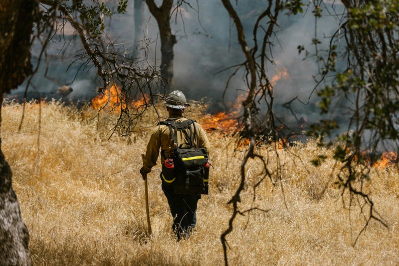 Locals Plan Hiking Around Fire Season