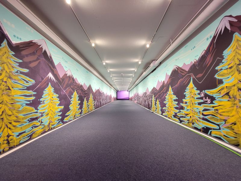 Free Access and Visitor Experience