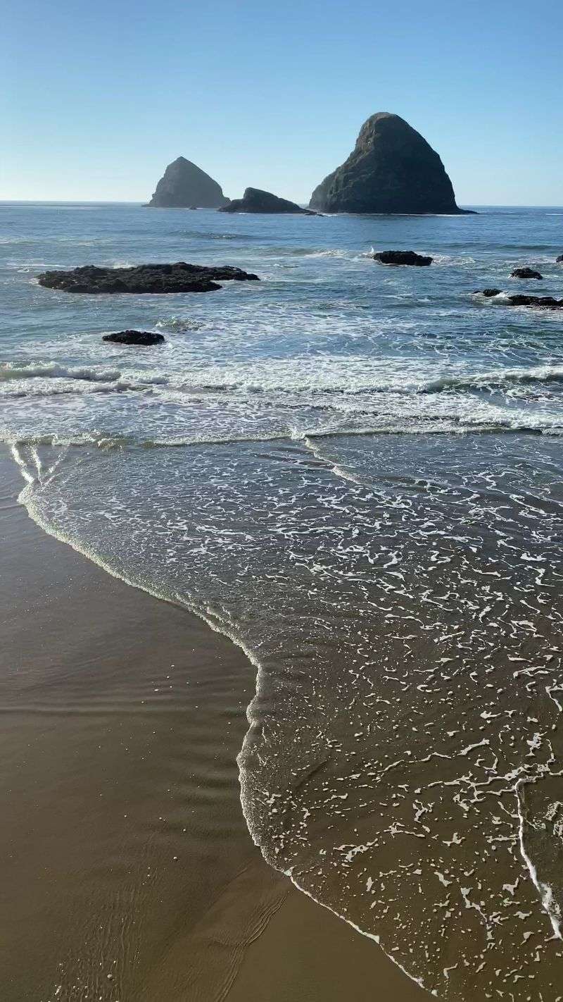 Oceanside Tide Pools and Tunnel Beach