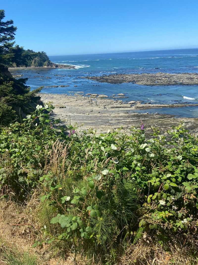 Birding And Wildlife Watching Opportunities