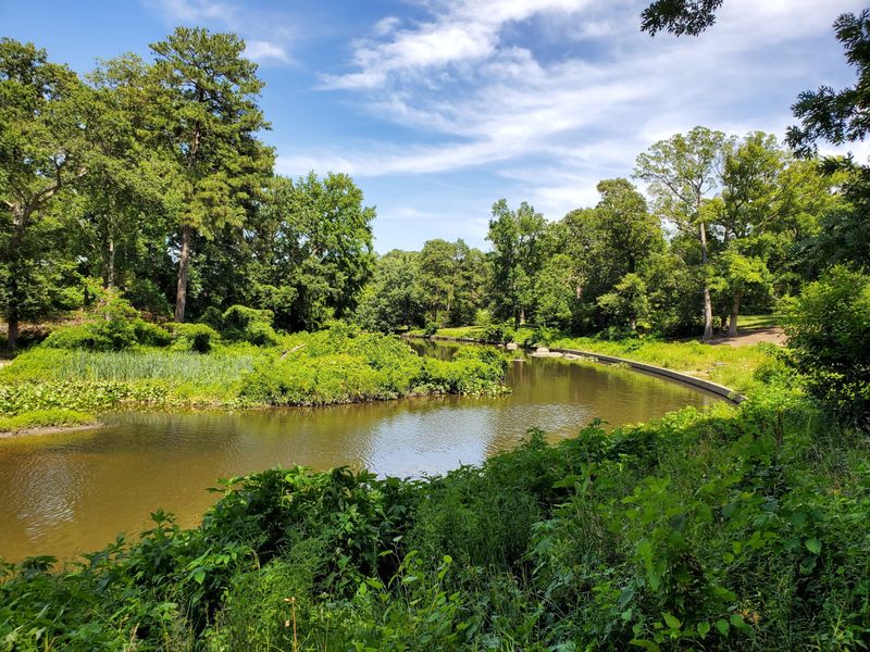 Bryan Park, Richmond