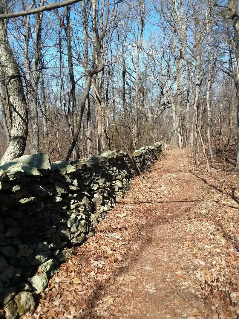 Wildcat Mountain Natural Area