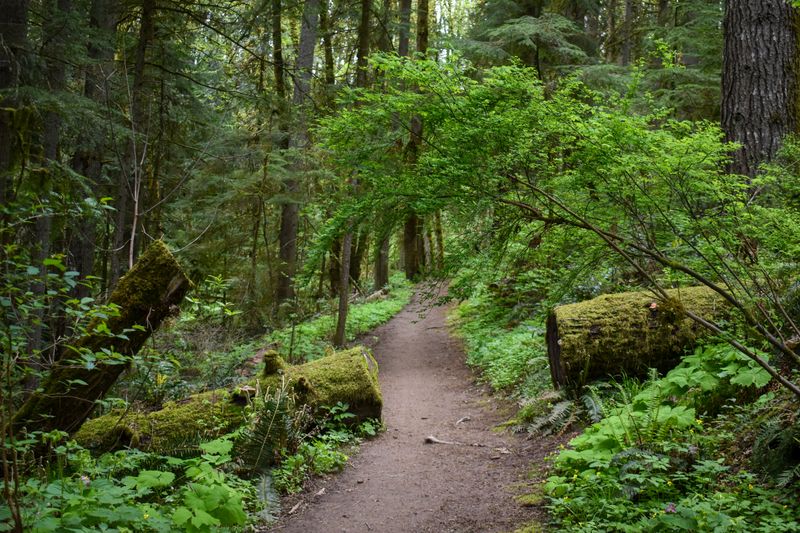 Forest Park, Portland