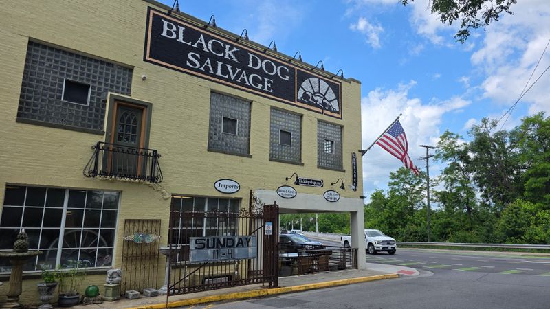 Black Dog Salvage