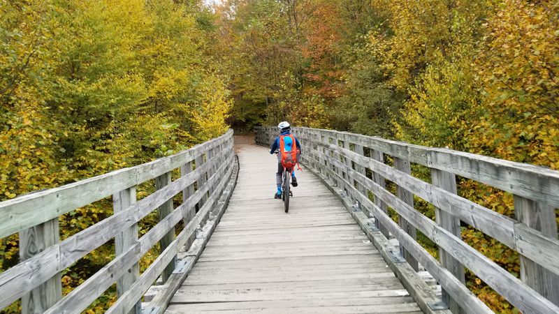 Virginia Creeper Trail