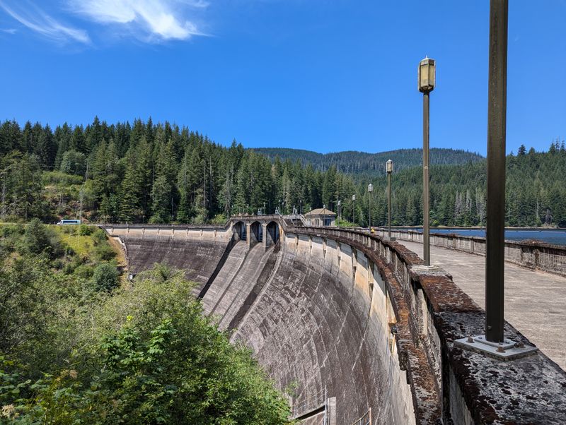 Clean Water And Air Begin In The Forests