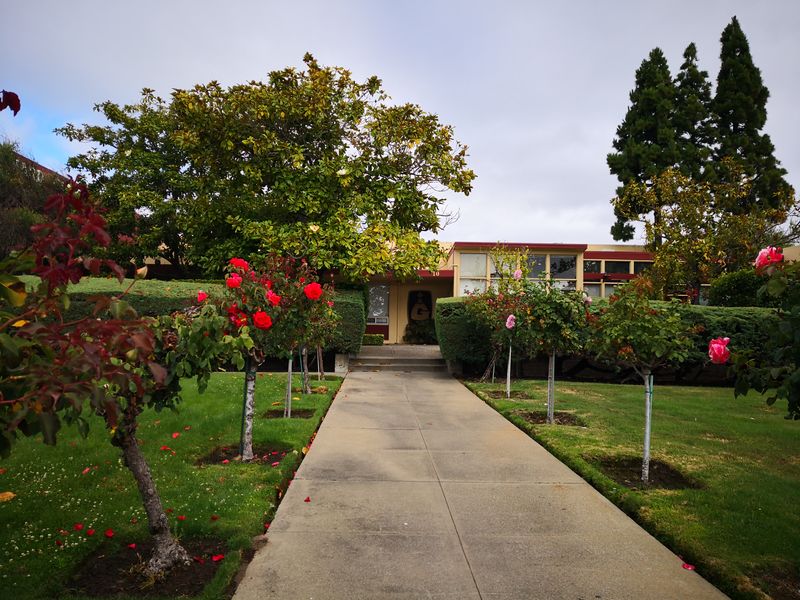 Guittard Chocolate Company Baking Chips