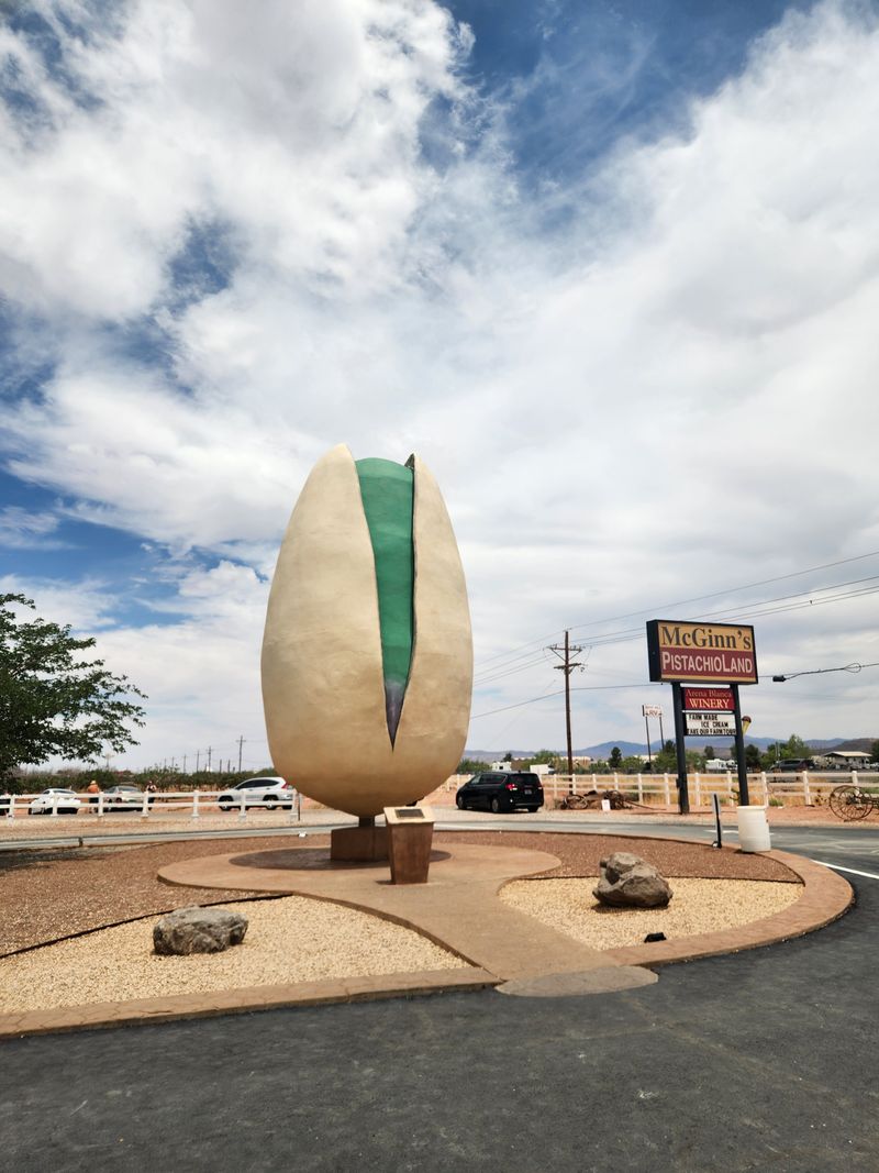 World's Largest Pistachio