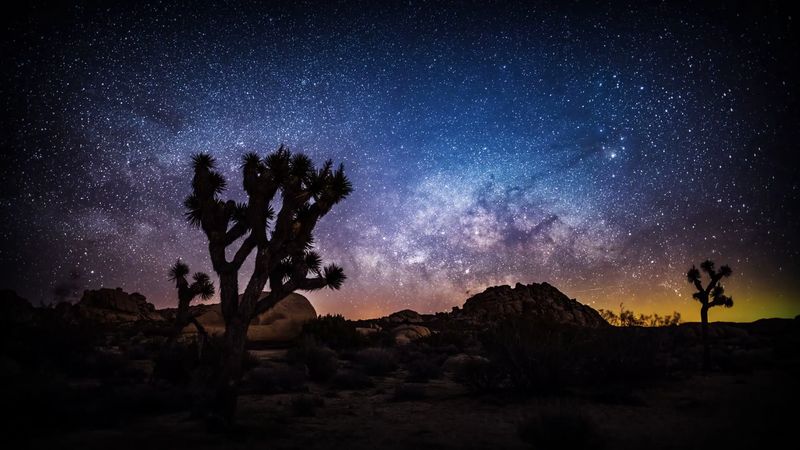 Joshua Tree National Park Supermoon Rise