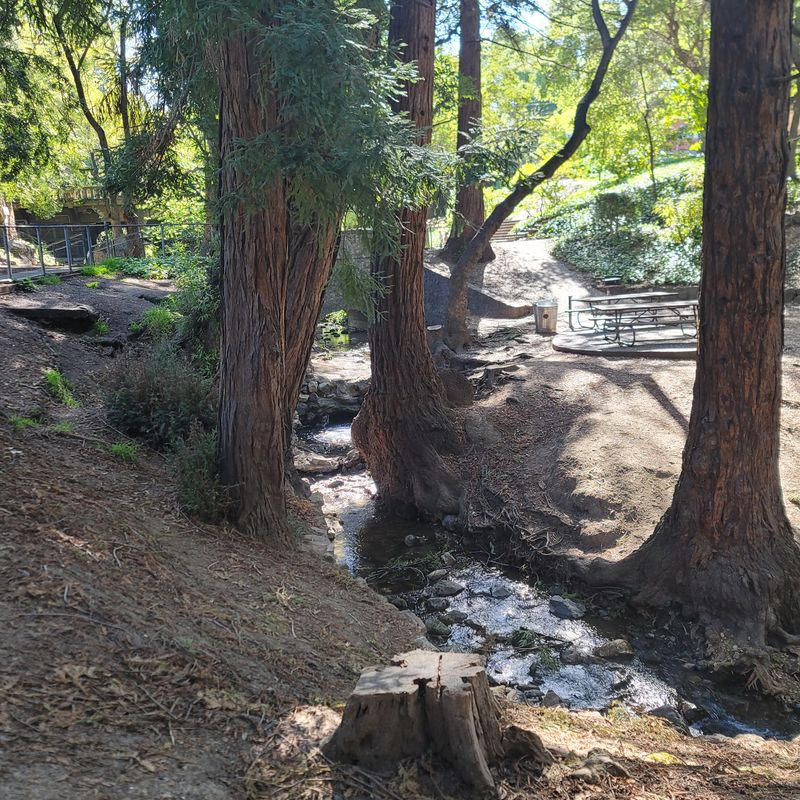 Live Oak Park (Berkeley)