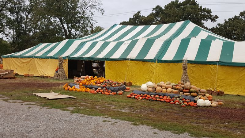 Carmichael’s Pumpkin Patch Holiday Market, Bixby