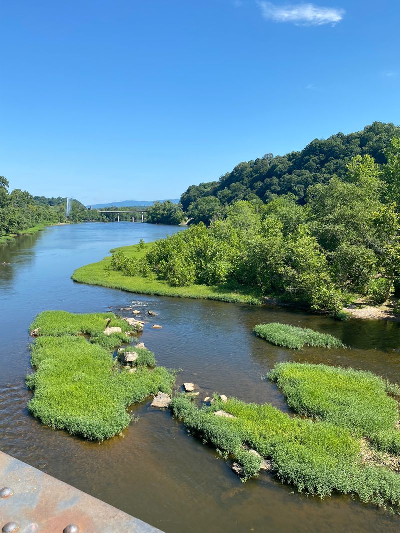 Old City Cemetery and Arboretum