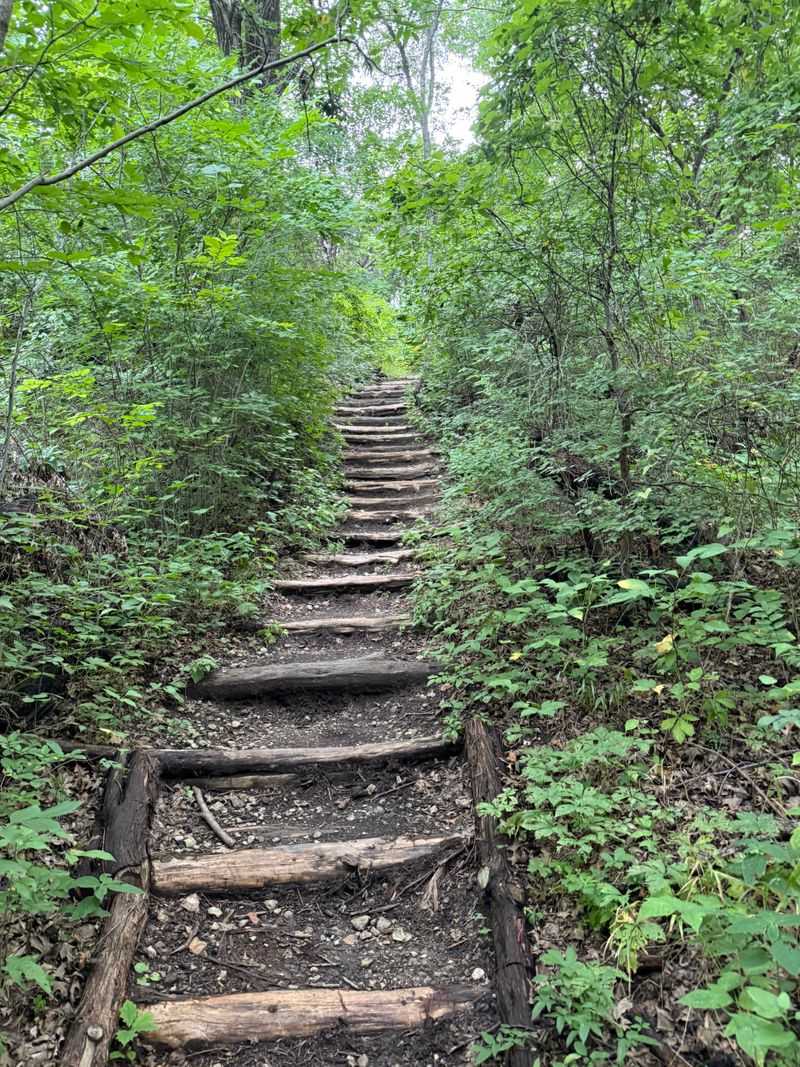 Trails That Actually Challenge Your Legs