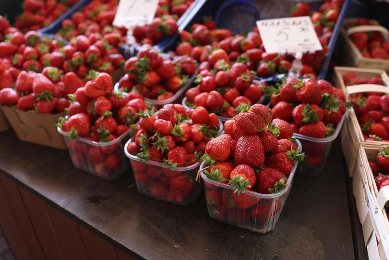 Farm-Fresh Strawberries Picked at Peak Perfection