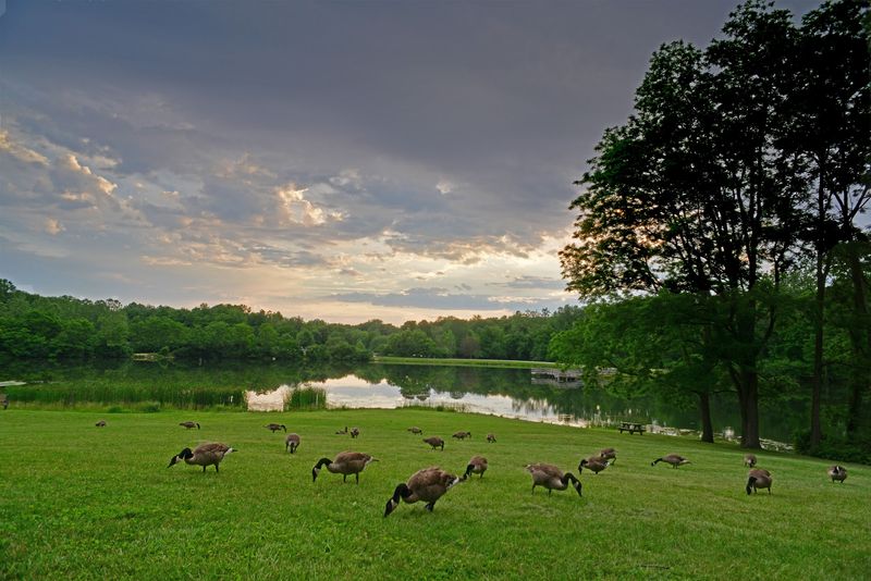 Wildflower Explosion Across 1,700 Acres