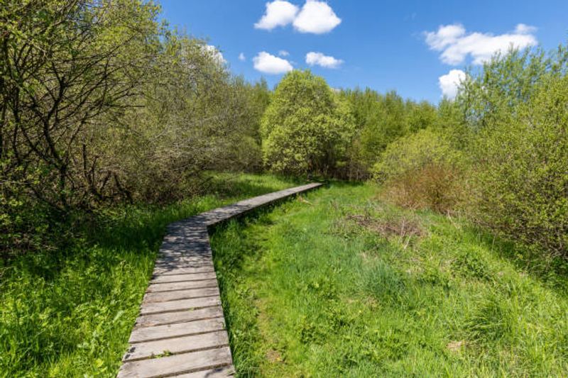 Cavanal Hill: The World's Highest Hill