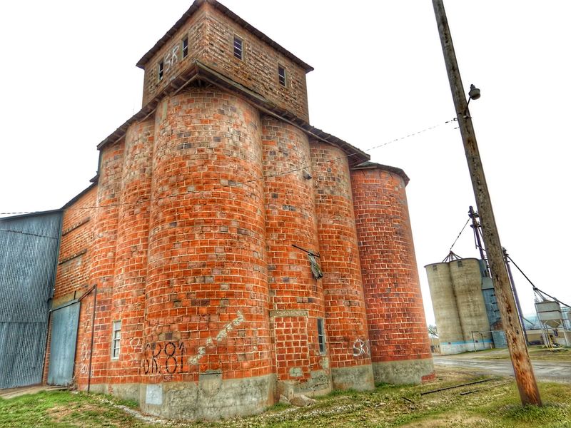 A Town With Roots That Run Deep