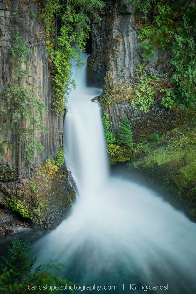 The Name That Says It All