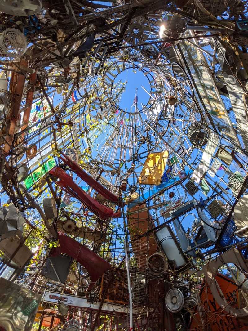 A Backyard Wonder That Defies Expectations