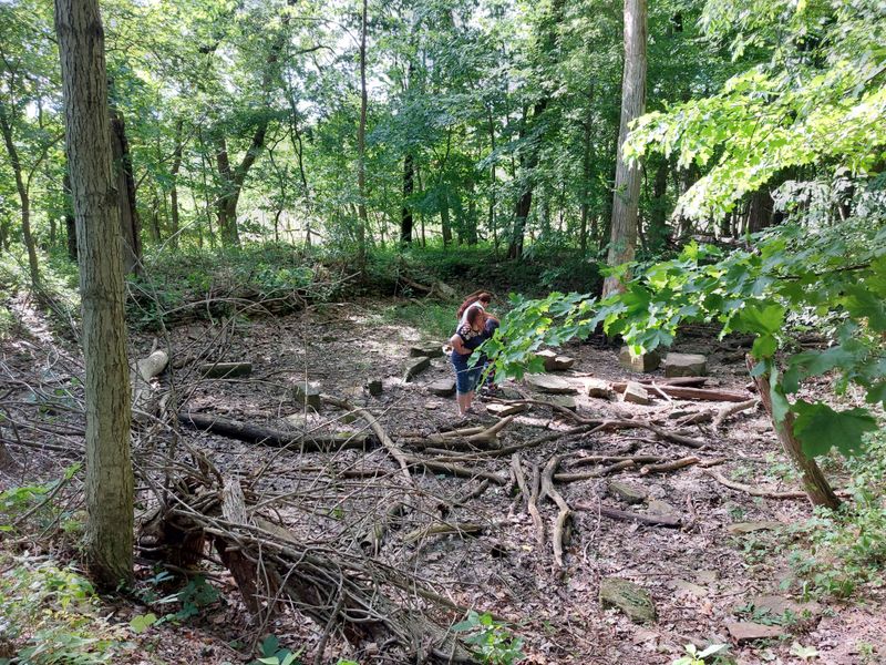 Visitors Who Go Looking For Proof
