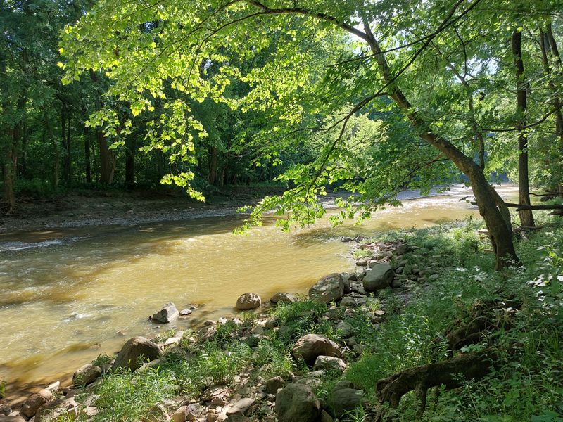 Why The Road Feels Isolated Even By Day
