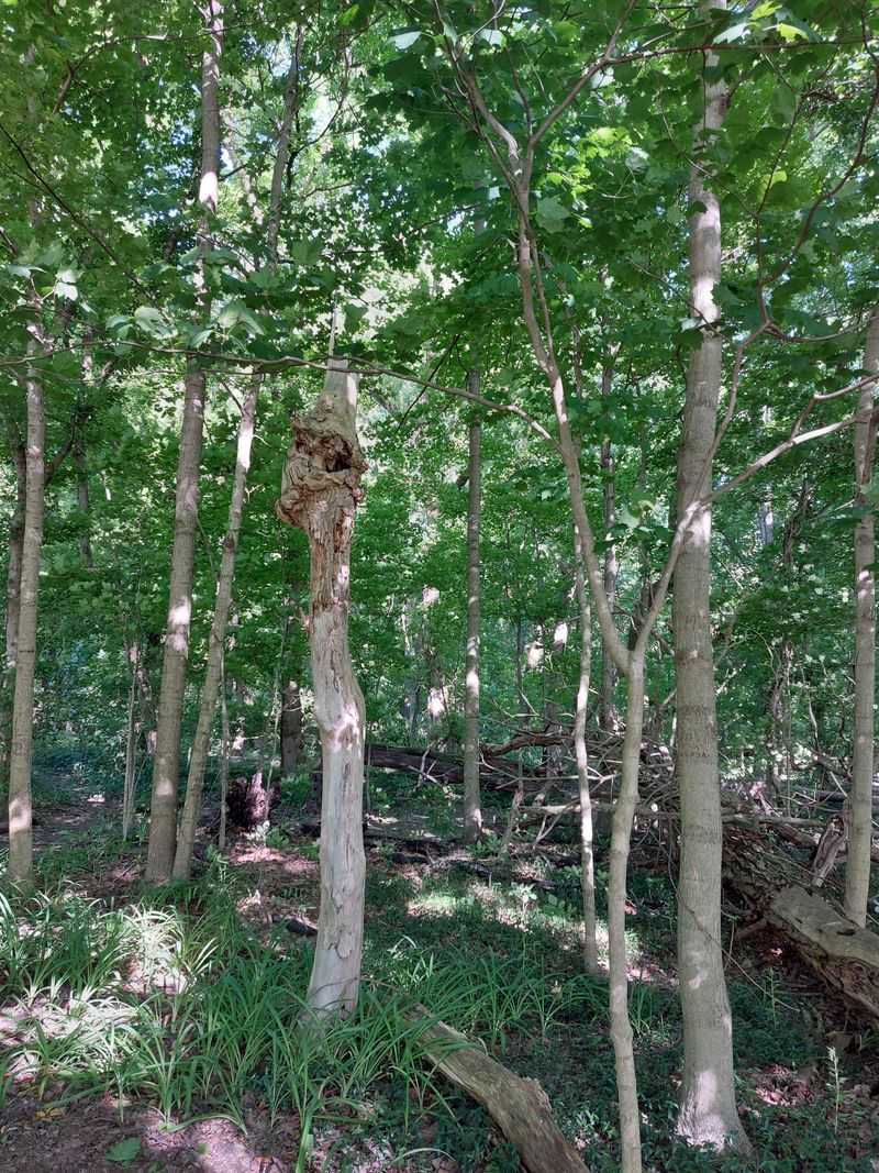 Noise Without An Obvious Source
