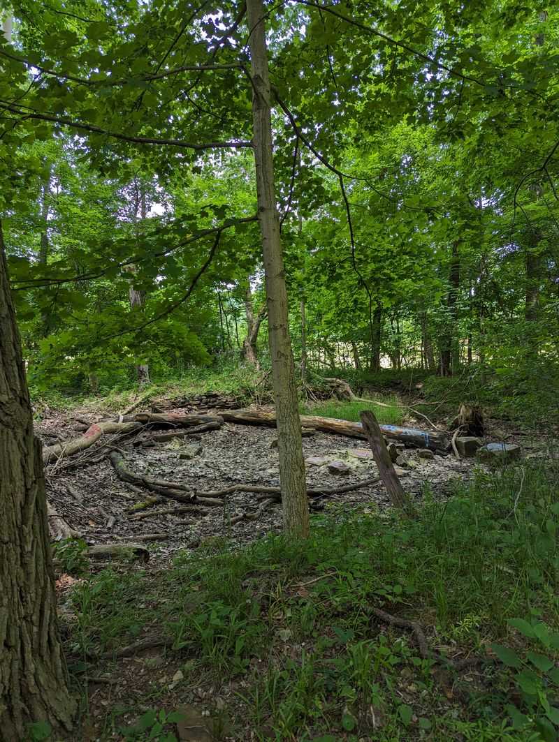 Locals Who Refuse To Take The Shortcut
