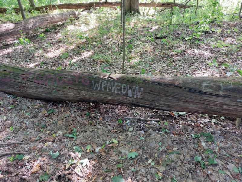 How Nightfall Changes Everything
