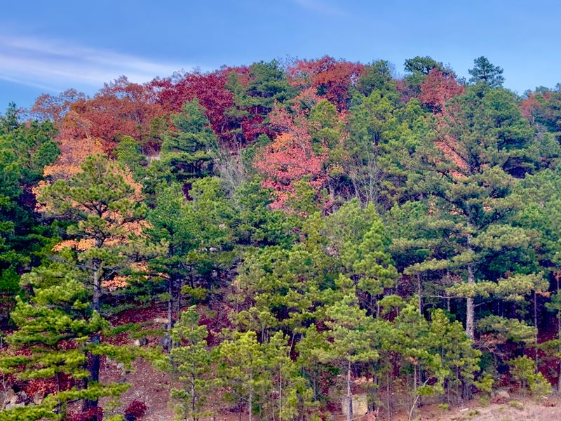 Talimena Scenic Drive