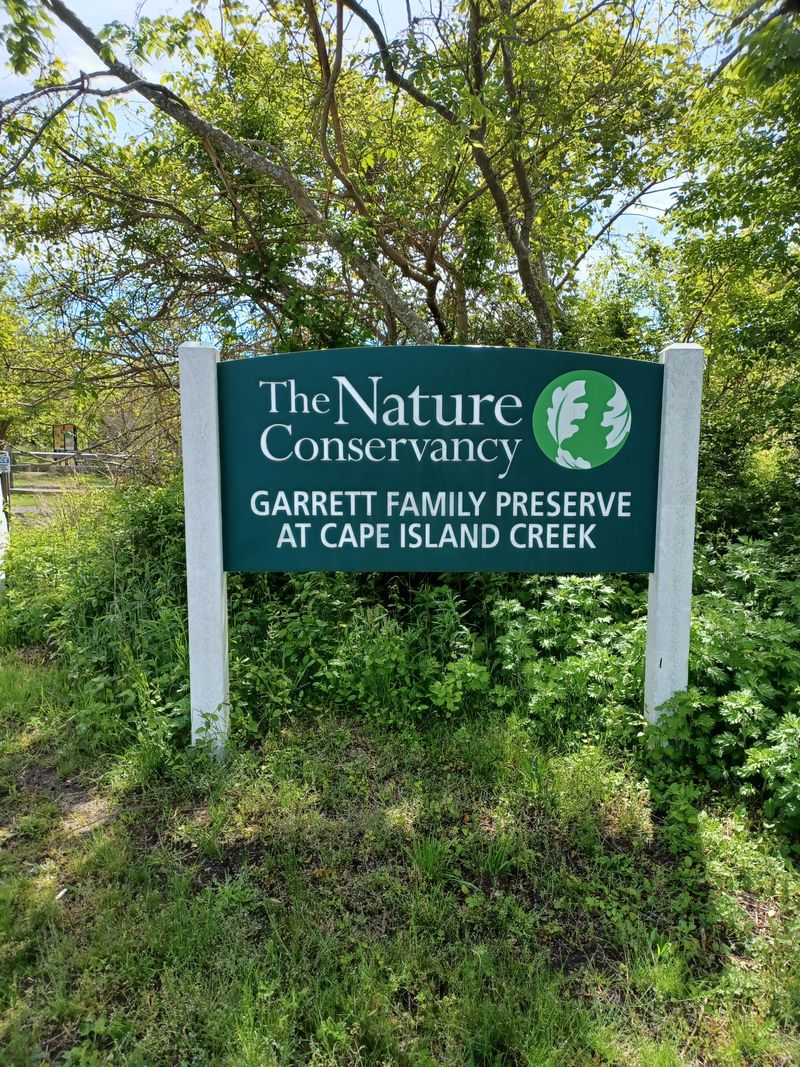 Well-Maintained Trails That Welcome Every Skill Level